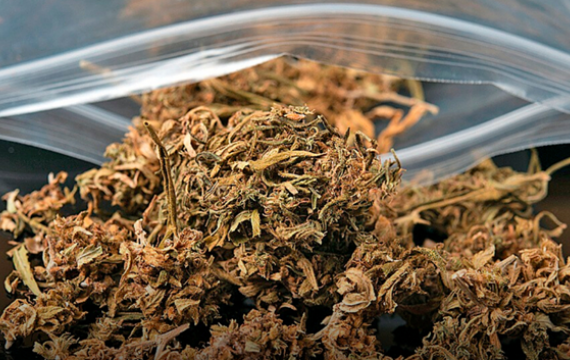 Como a K9 age no organismo?